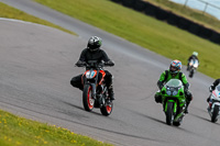 PJ-Motorsport-2019;anglesey-no-limits-trackday;anglesey-photographs;anglesey-trackday-photographs;enduro-digital-images;event-digital-images;eventdigitalimages;no-limits-trackdays;peter-wileman-photography;racing-digital-images;trac-mon;trackday-digital-images;trackday-photos;ty-croes